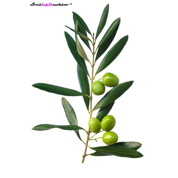 Parafinski vosek oliva 500 ml, vosek za parafinsko terapijo